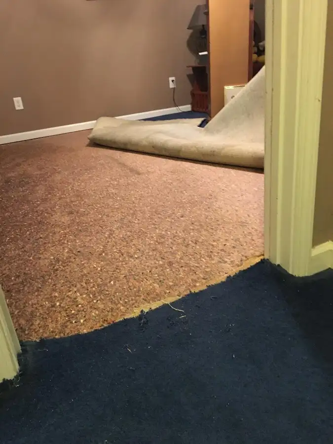 Carpet pad removal revealing water damage during Drying & Dehumidification in Livingston