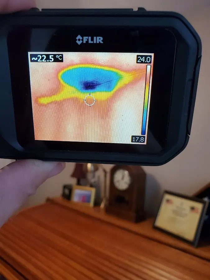 Thermal imaging inspection for water damage in Livingston