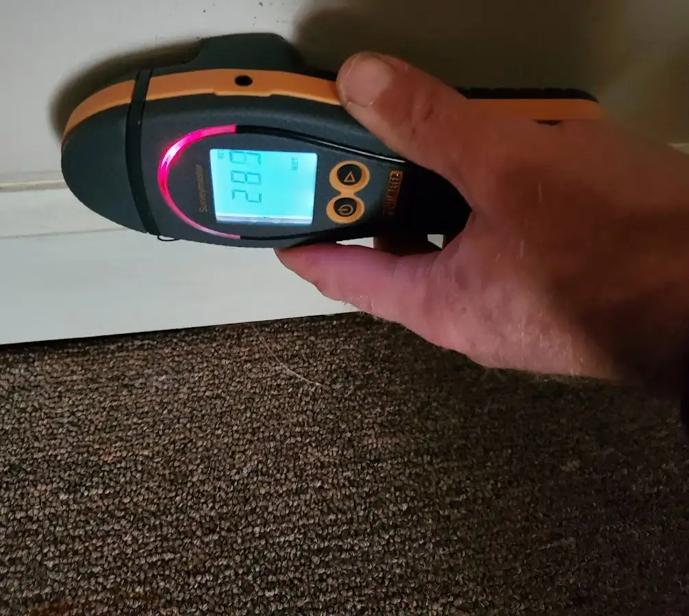 Moisture detection at baseboard during Mold Inspection & Testing in Livingston